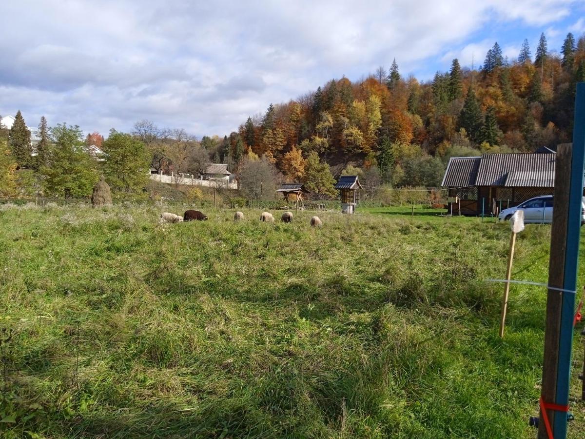 Садиба Федорчуків Гірська Хатина 1 Scheschory Exterior foto