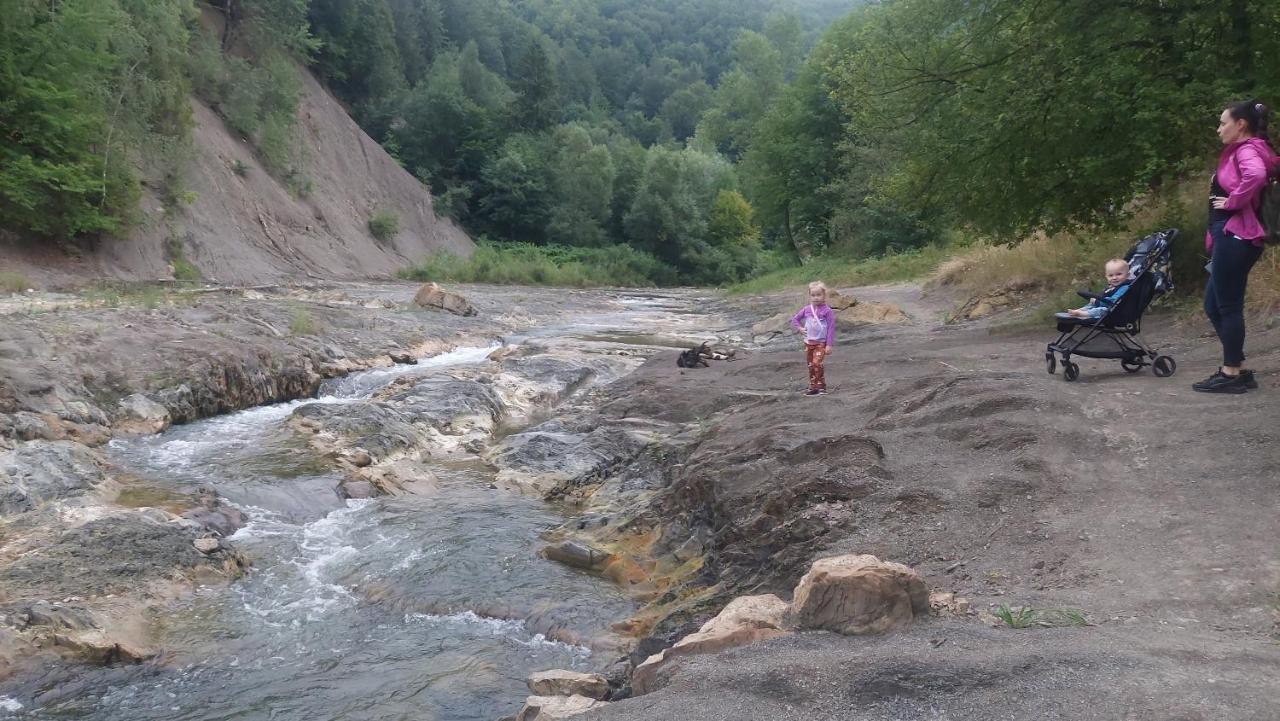 Садиба Федорчуків Гірська Хатина 1 Scheschory Exterior foto